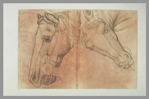 Deux têtes de chevaux harnachés, l'une de profil vers la gauche