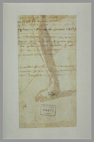 Etude de jambe et fragment de texte manuscrit