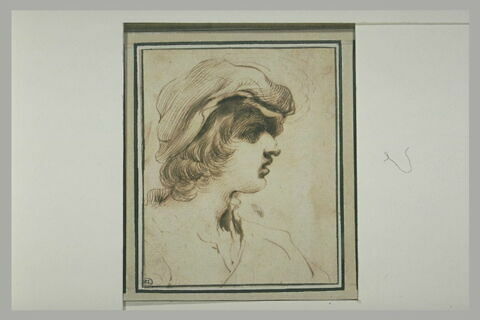 Tête de jeune homme, de profil vers la droite, image 2/2