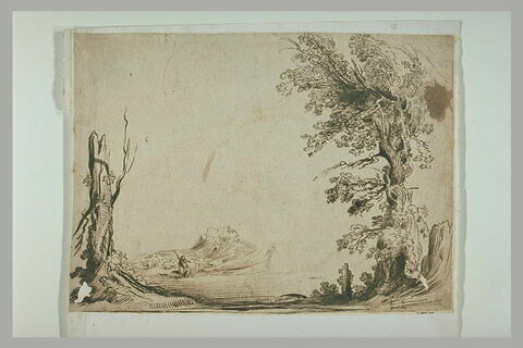 Paysage encadré d'un arbre et d'un tronc, avec un berger et son troupeau, image 2/2