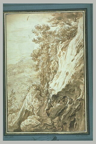 Paysage avec de grands rochers recouverts de broussaille, image 2/2