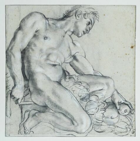 Ignudo de profil à droite, image 4/4