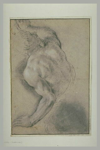 Demi-figure d'homme nu, de dos, regardant vers la droite, image 2/2