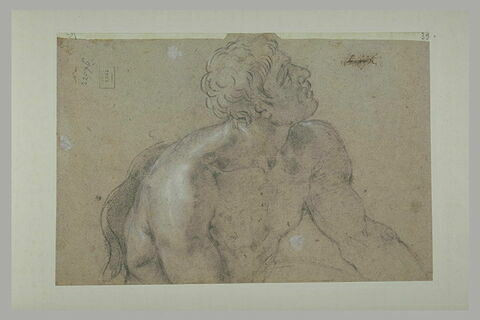 Demi-figure d'homme nu, regardant vers la droite, image 2/2