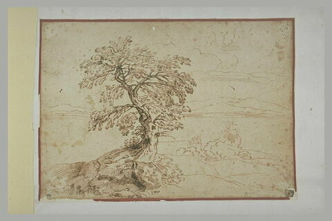Paysage avec un arbre sur un talus et des montagnes dans le lointain, image 1/1