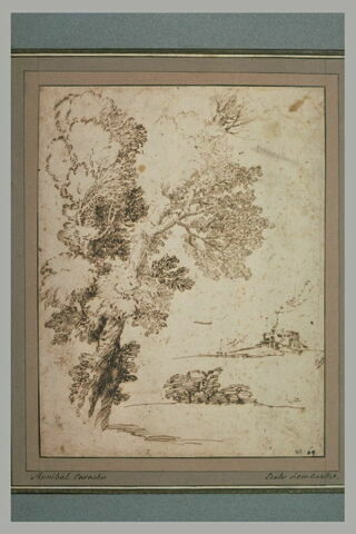 Deux arbres, un bosquet, et une ferme à la cheminée qui fume, image 1/1