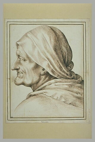 Une tête de vieille femme, de profil vers la gauche, image 2/2