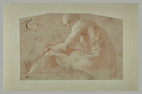 Homme nu, assis, de profil vers la gauche, la tête de trois quarts, image 2/2