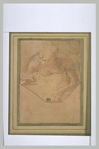 Homme nu, en buste, penché en avant, la tête de trois quarts vers la gauche, image 2/2