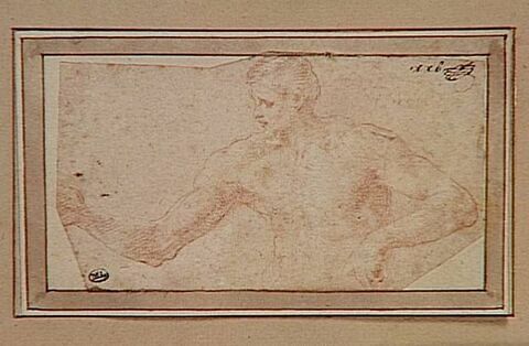 Homme nu, en buste, de profil vers la gauche, image 1/2