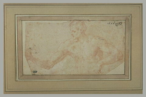Homme nu, en buste, de profil vers la gauche, image 2/2