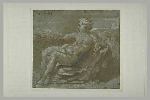 Homme nu, assis sur des feuillages, tourné vers la gauche, image 2/2
