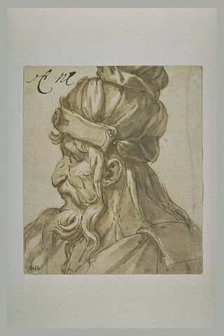 Tête d'homme barbu, coiffé d'un bonnet, tourné vers la gauche, image 2/2