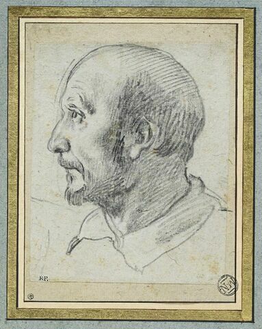 Tête d'homme chauve et moustachu, de profil vers la gauche, image 1/3