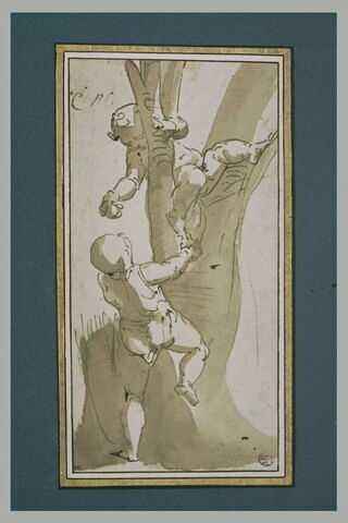 Deux enfants jouant dans un arbre, image 2/2