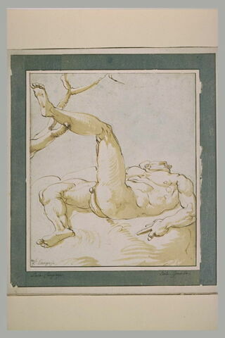 Homme nu, allongé sur le dos, la jambe gauche appuyée sur une branche, image 2/2