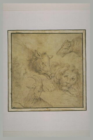 Etude de cinq têtes d'animaux : lion, bouc, cheval, sanglier, ours, image 2/2