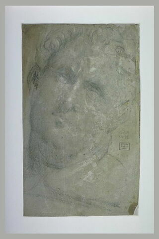 Etude d'après un moulage de tête dite de Vitellius, image 1/1