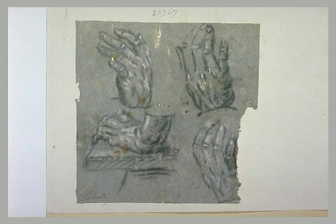 Quatre études de main, dans diverses positions, image 1/1