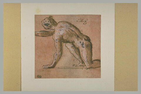 Homme nu, de dos, agenouillé et se relevant, tourné vers la gauche, image 2/2