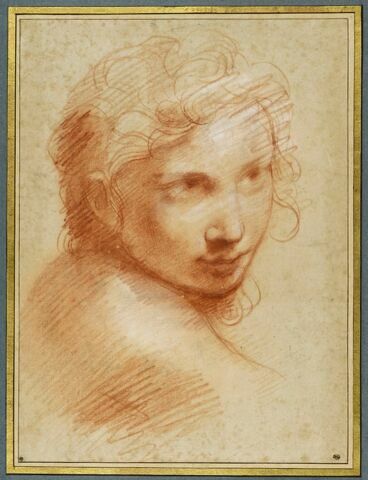 Tête de jeune homme, de trois quarts vers la droite, image 5/5
