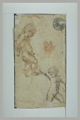 Deux enfants nus et une fleur
