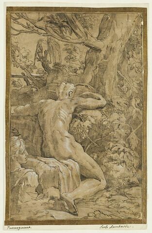 Un homme nu, assis dans une forêt au pied d'un arbre, de dos, image 1/2
