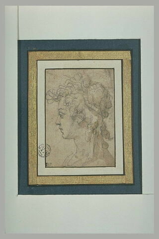 Tête de femme, de profil vers la gauche, image 1/1