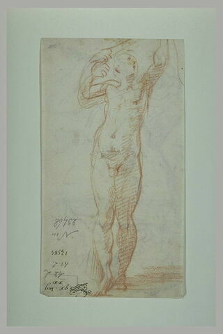Homme nu, debout, regardant vers le haut, bras levés, semblant tenir un arc, image 2/2