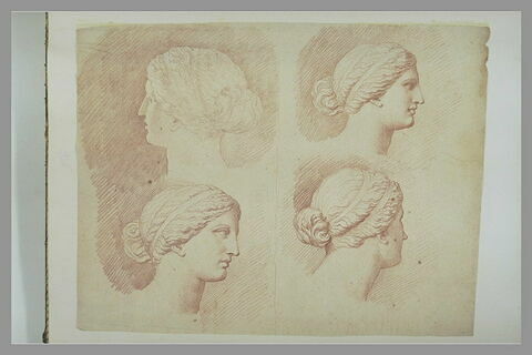 Quatre études de la tête de la Vénus du Belvédère, vue de profil à droite et de trois quarts dos, image 2/2