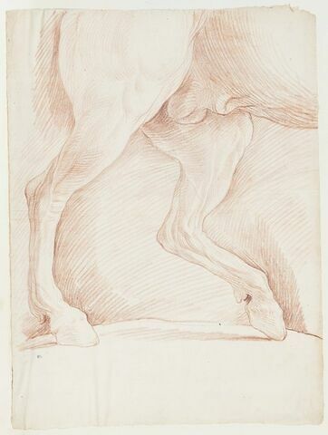 Jambes arrière du cheval de la statue équestre de Marc Aurèle, vue de profil, image 1/2