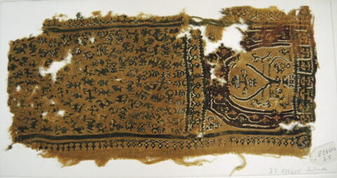 clavus ; fragment, image 2/2