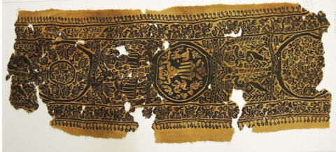 clavus ; fragment, image 2/2