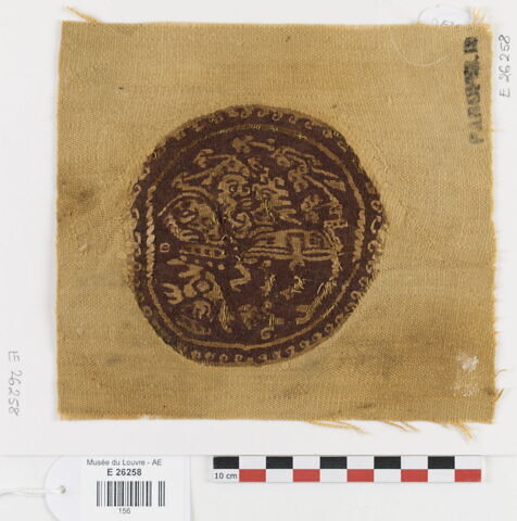 orbiculus ; fragment, image 1/1