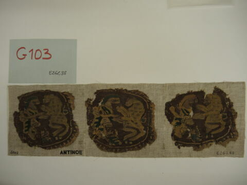 orbiculus  ; fragments, image 2/2