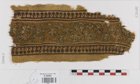 clavus ; fragment, image 1/2