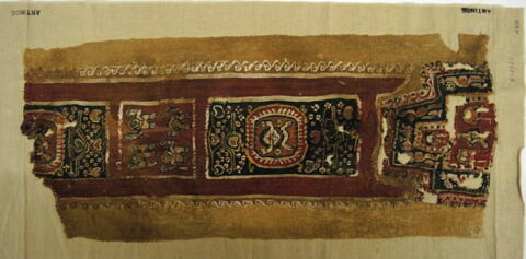 clavus ; fragment, image 2/3