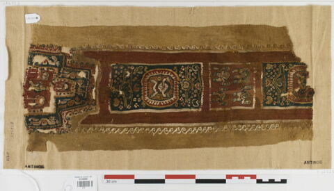 clavus ; fragment, image 1/3