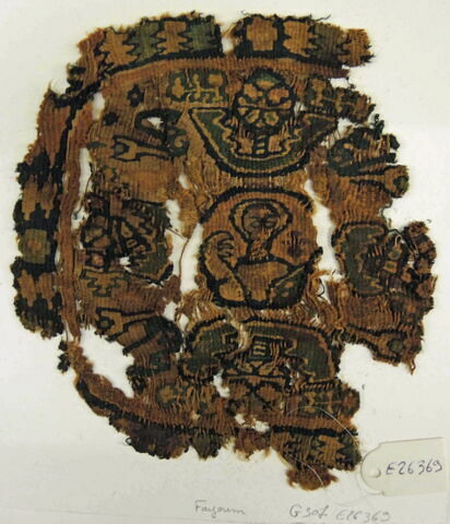 orbiculus ; fragment, image 2/2