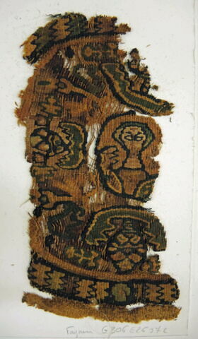 orbiculus ; fragment, image 2/2