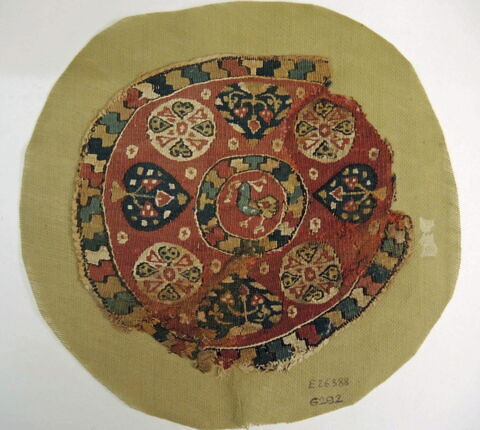 orbiculus ; fragments, image 2/2