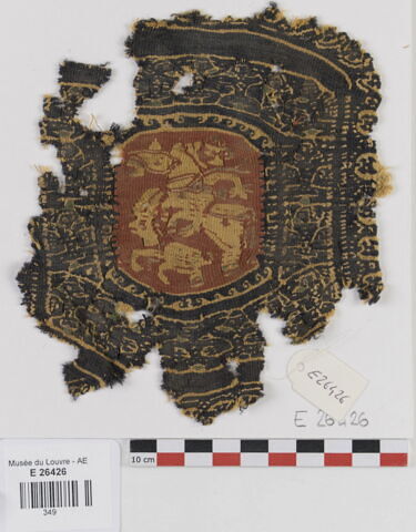 orbiculus ; fragment, image 1/2