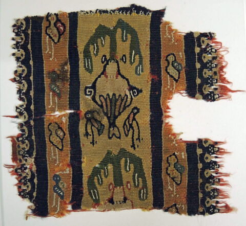 clavus ; fragment, image 2/2