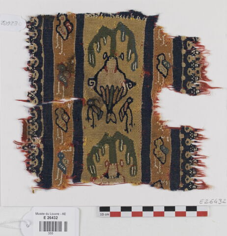 clavus ; fragment, image 1/2