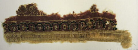 clavus ; fragment, image 2/2