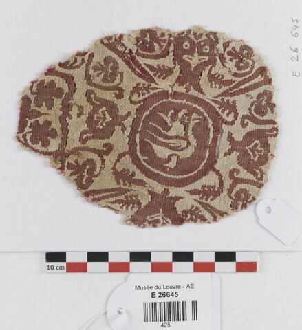 orbiculus  ; fragment, image 1/2