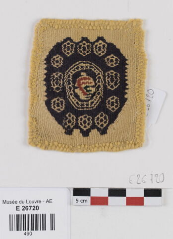 orbiculus ; fragment