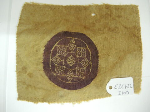 orbiculus ; fragment, image 2/3