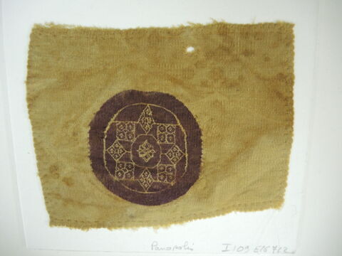 orbiculus ; fragment, image 3/3
