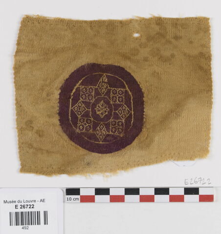 orbiculus ; fragment